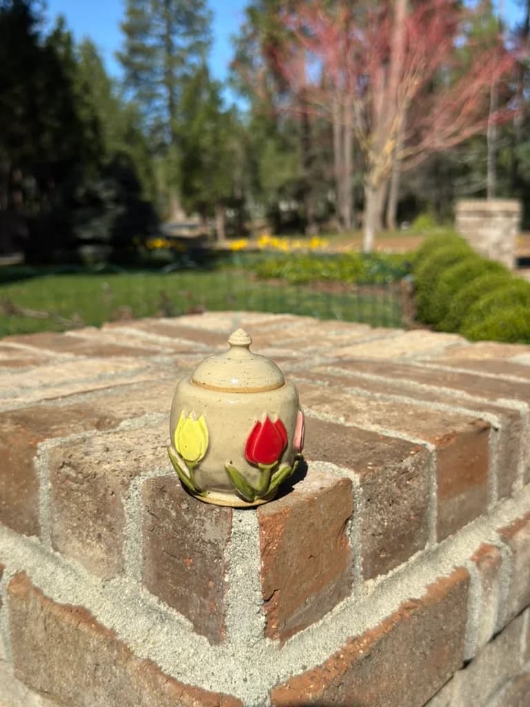 Mini • Tulip • Jar — handmade ceramic by Kelly Olivier, 404 Ceramics